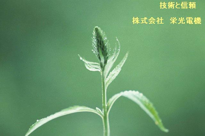 株式会社　栄光電機